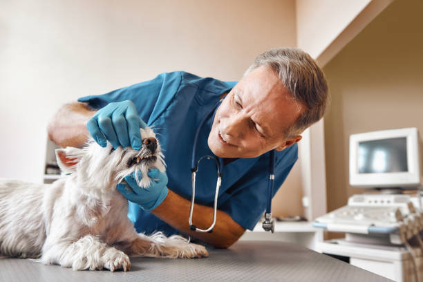 Best Same-Day Emergency Dentist in Richmond, IN